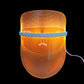 LED Beauty Mask and Photon Skin Rejuvenation Device